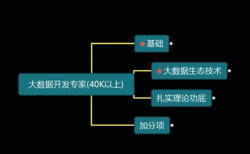 大數(shù)據(jù)開發(fā)工程師必備技能 軟實力與硬實力全解析